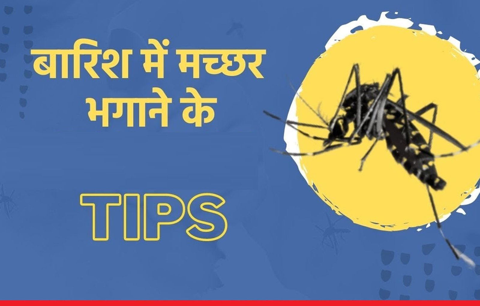 बरसात में बढ़ जाता है मच्छरों आतंक, रातों की नींद कर देते हराम, अपनाएं ये 5 घरेलू तरीके, चुटकियों में दिखेगा असर