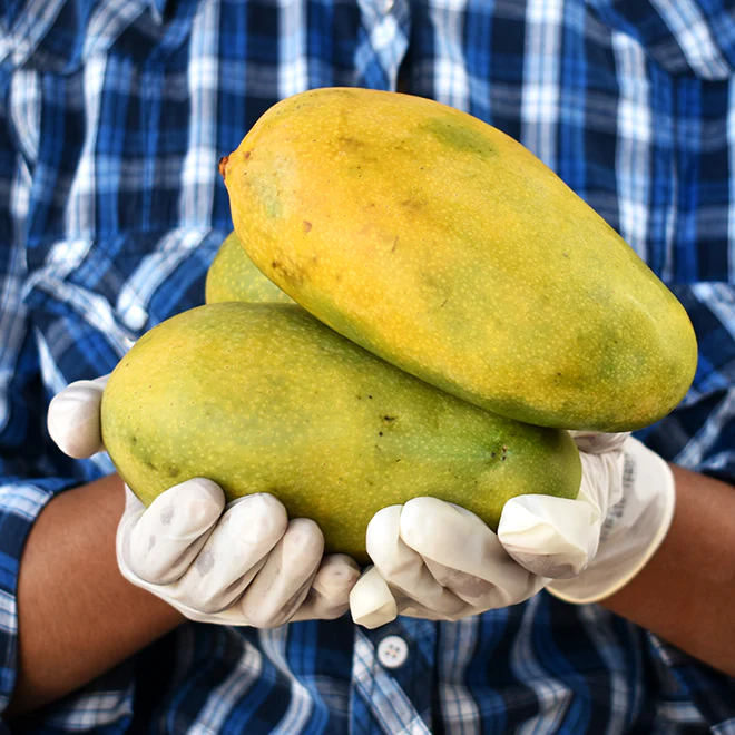 digital web growth blogs