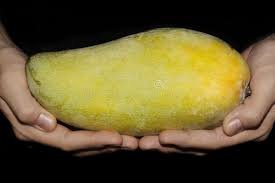 digital web growth blogs